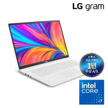 [정품박스 패키지] LG그램17 코어i7(10세대) 램 16G SSD 듀얼하드 윈도우11 프로